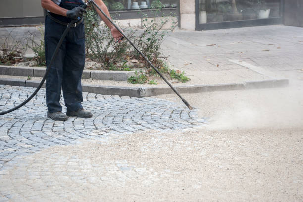 Best Driveway Pressure Washing  in Landisville, PA